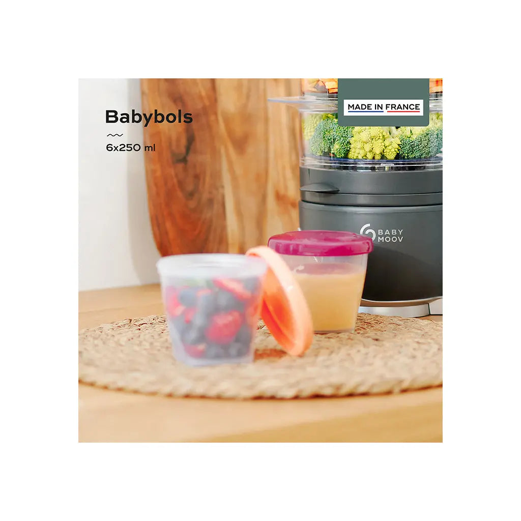 Babymoov Conjunto 6 Caixas Herméticas de 250ml