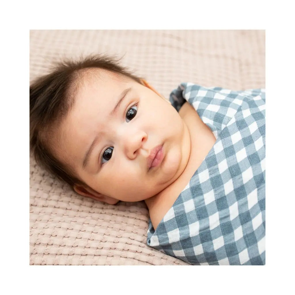 Lulujo Musselina Musselina Fish & Navy Gingham