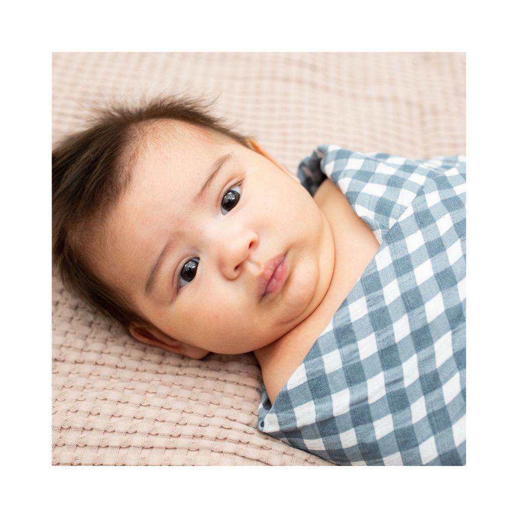 Lulujo Musselina Musselina Fish & Navy Gingham