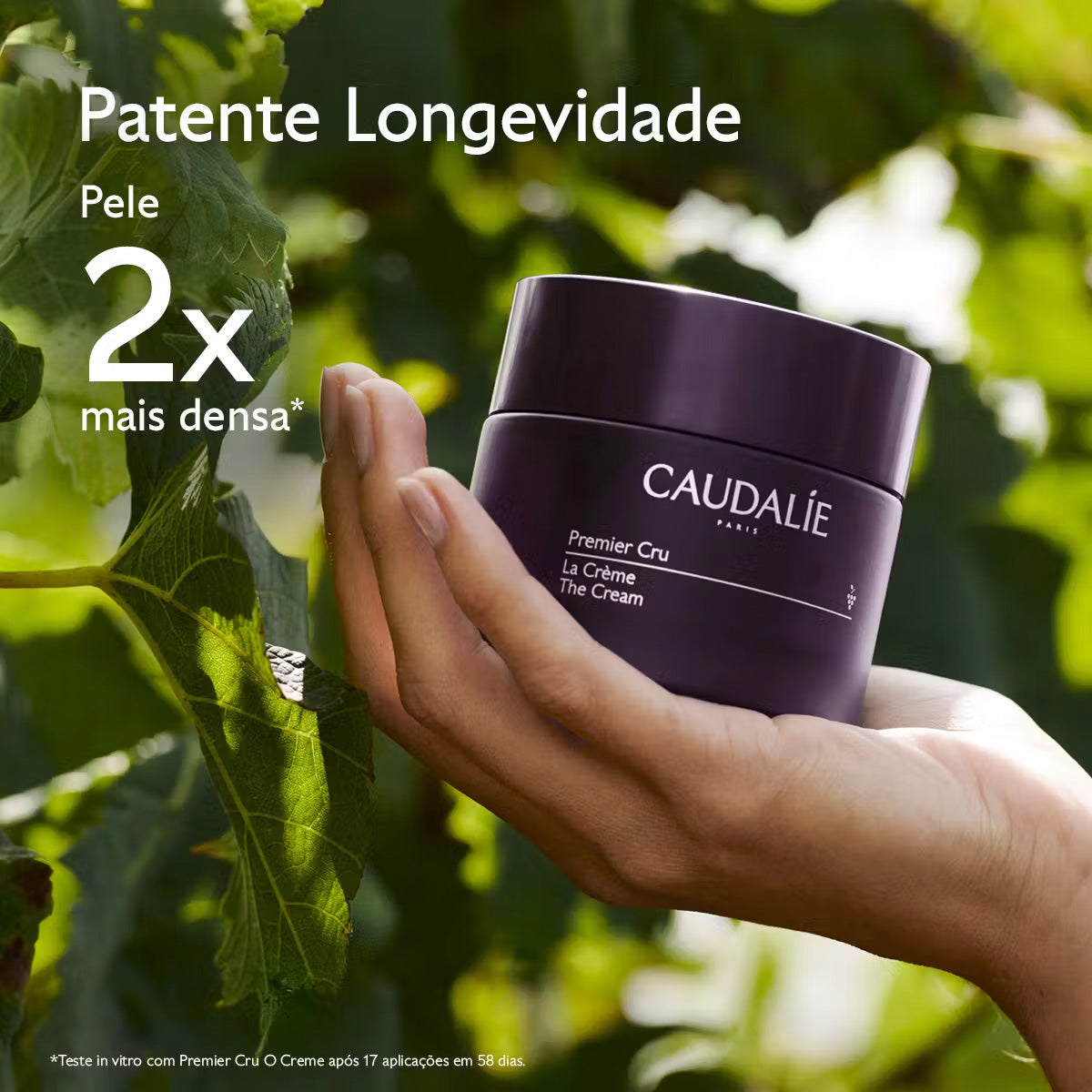 Creme Premier Cru