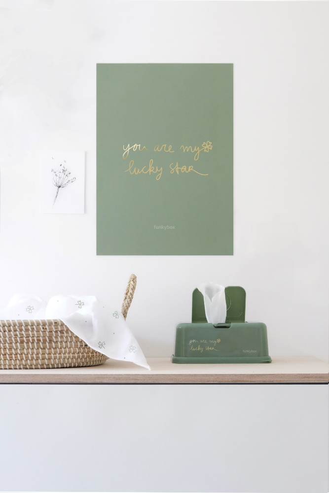 Porta Toalhitas FunkyBox