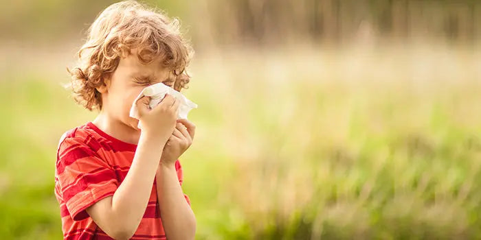 Como Evitar Alergias: 12 Estratégias Práticas para Prevenir Crises em Casa - Love my Pharma