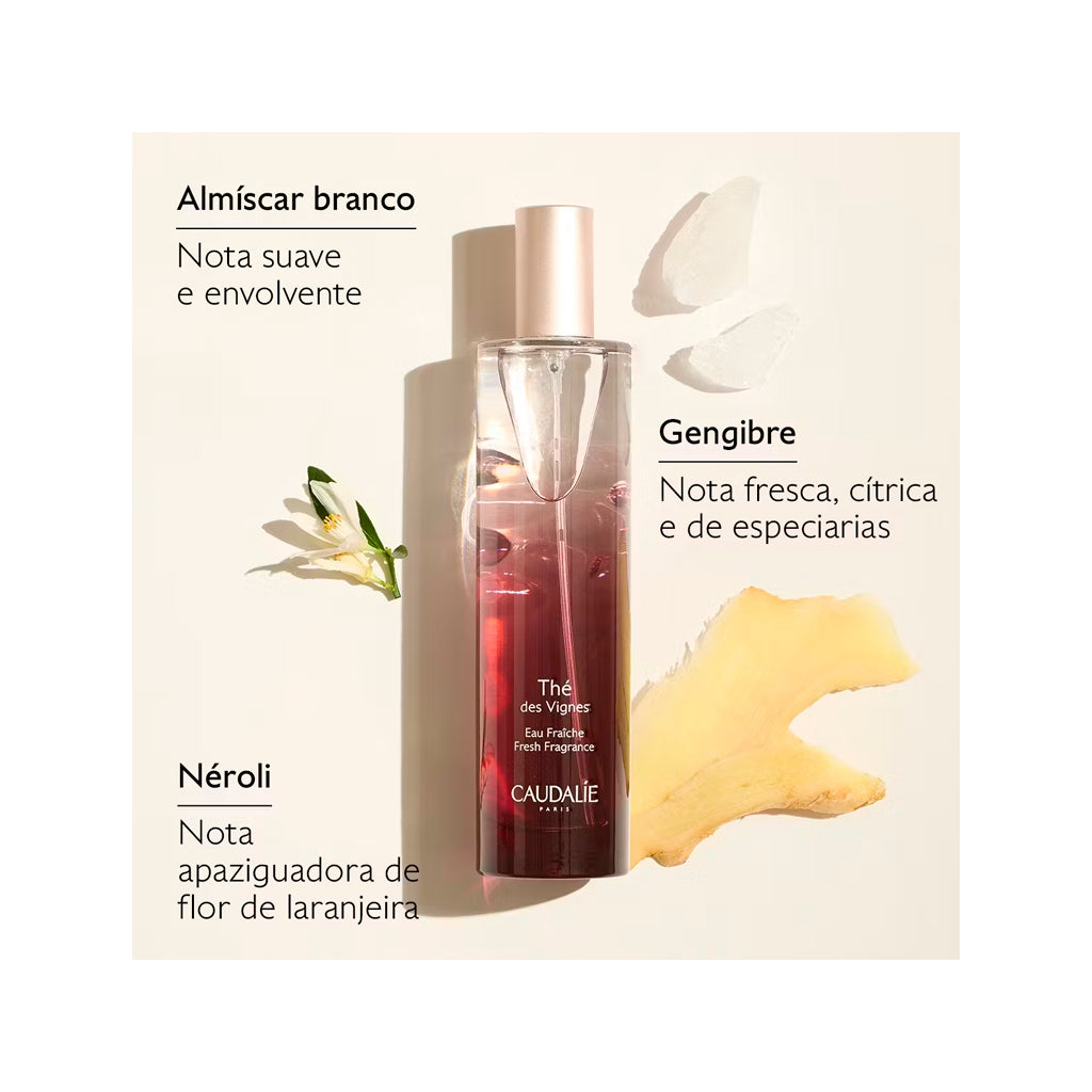 Coffret Thé Des Vignes