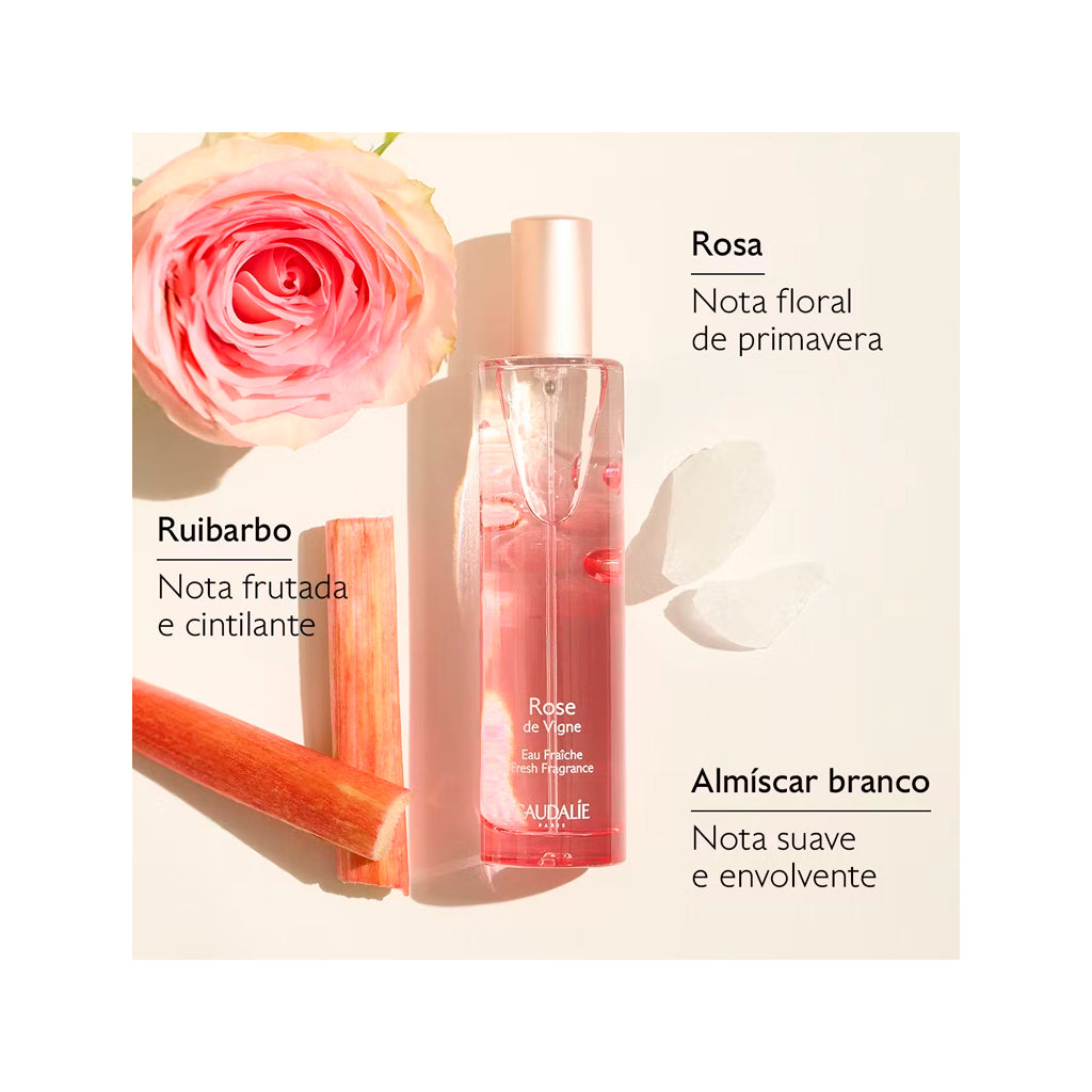 Coffret Água Fresca Rose de Vignes