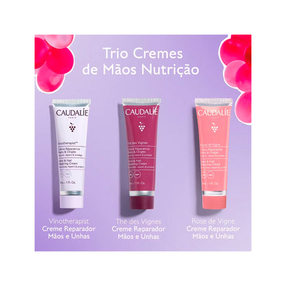 Trio Cremes de Mãos