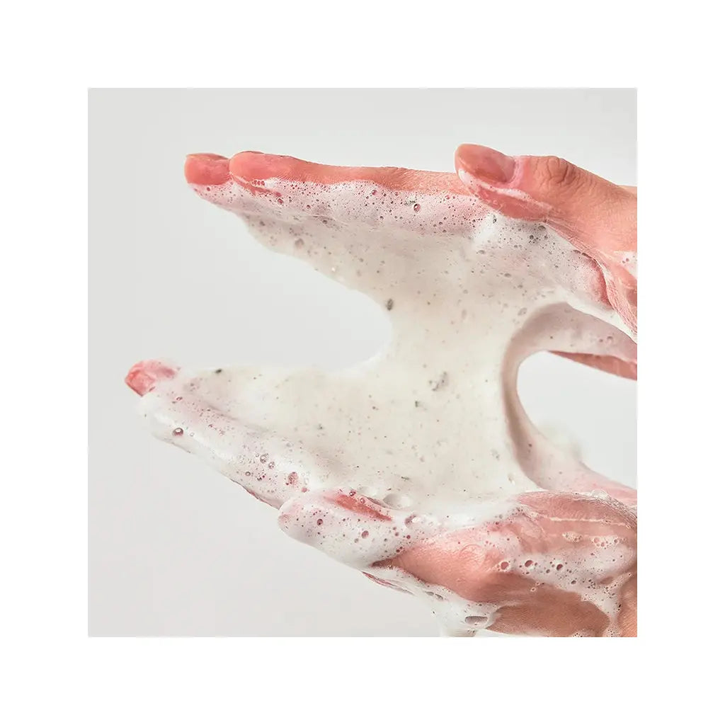 Anua Heartleaf Quercetinol Pore Deep Cleansing Foam | Love my Pharma